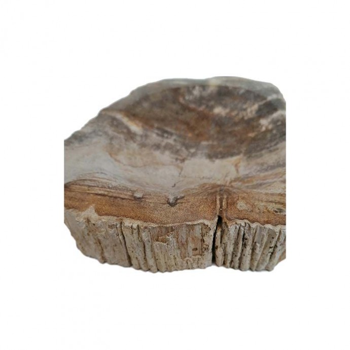 Porte-savon en bois fossilisé