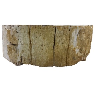 Lave-mains bois fossilisé n°04 - Taille S