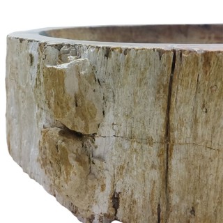 Lave-mains bois fossilisé n°04 - Taille S