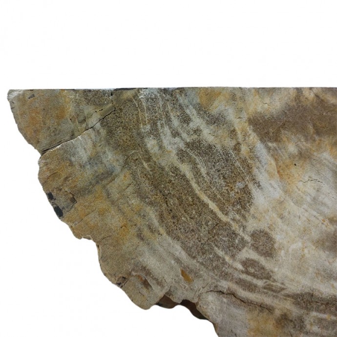 Vasque bois fossilisé n°4 - Taille M