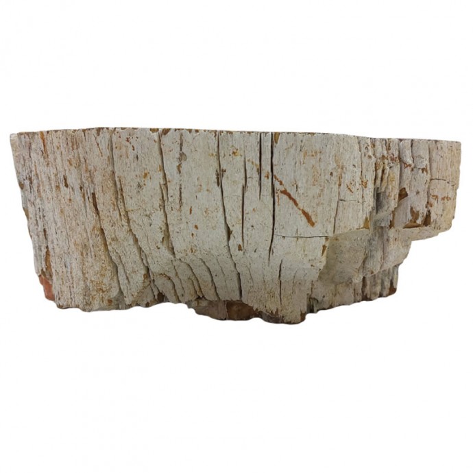 Vasque bois fossilisé n°6 - Taille M