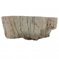 Vasque bois fossilisé n°6 - Taille M