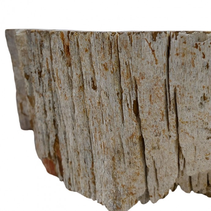 Vasque bois fossilisé n°6 - Taille M