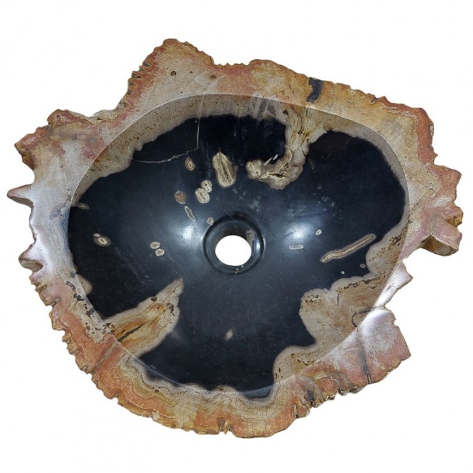 Vasque bois fossilisé n°6 - Taille M