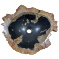 Vasque bois fossilisé n°6 - Taille M