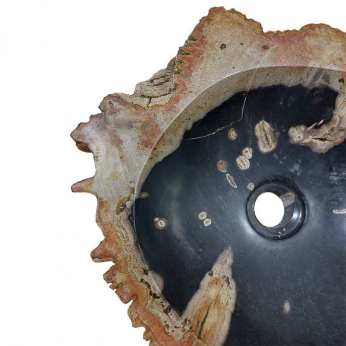Vasque bois fossilisé n°6 - Taille M
