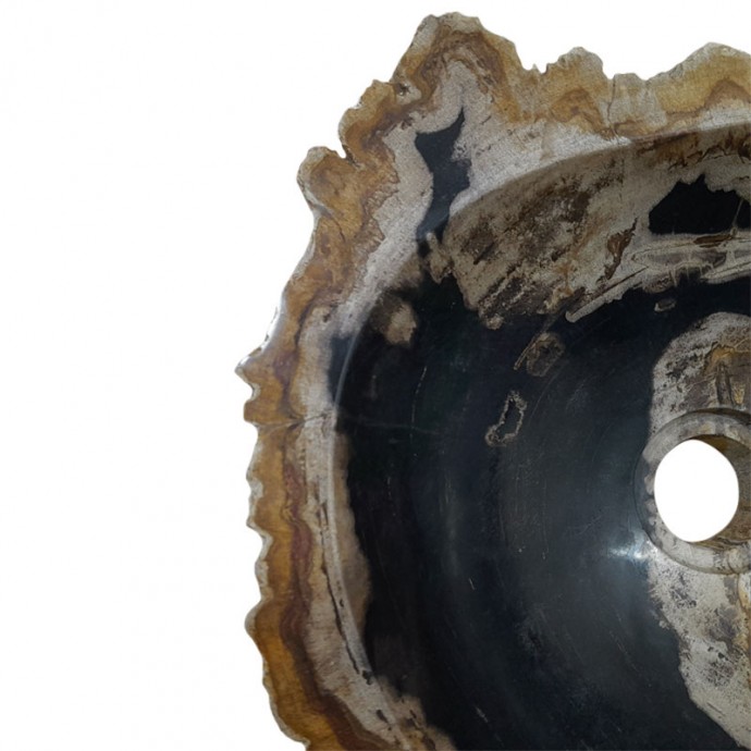 Lave-mains bois fossilisé n°22 - Taille S