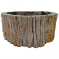 Lave-mains bois fossilisé n°23 - Taille S