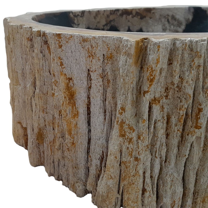 Lave-mains bois fossilisé n°23 - Taille S