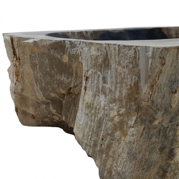 Vasque bois fossilisé n°26 - Taille M
