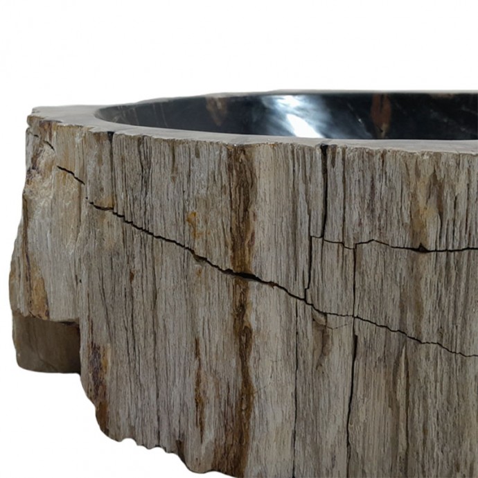 Vasque bois fossilisé n°36 - Taille M
