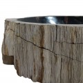 Vasque bois fossilisé n°36 - Taille M