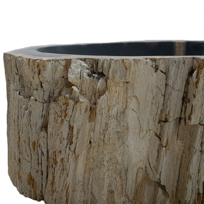 Vasque bois fossilisé n°37 - Taille M