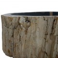 Vasque bois fossilisé n°37 - Taille M