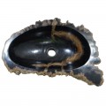 Vasque bois fossilisé n°37 - Taille M