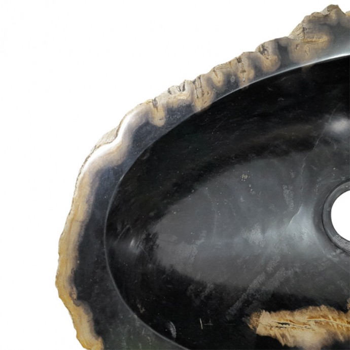 Vasque bois fossilisé n°37 - Taille M