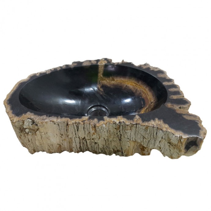 Vasque bois fossilisé n°37 - Taille M