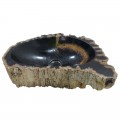Vasque bois fossilisé n°37 - Taille M
