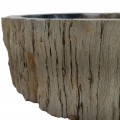 Vasque bois fossilisé n°40 - Taille M