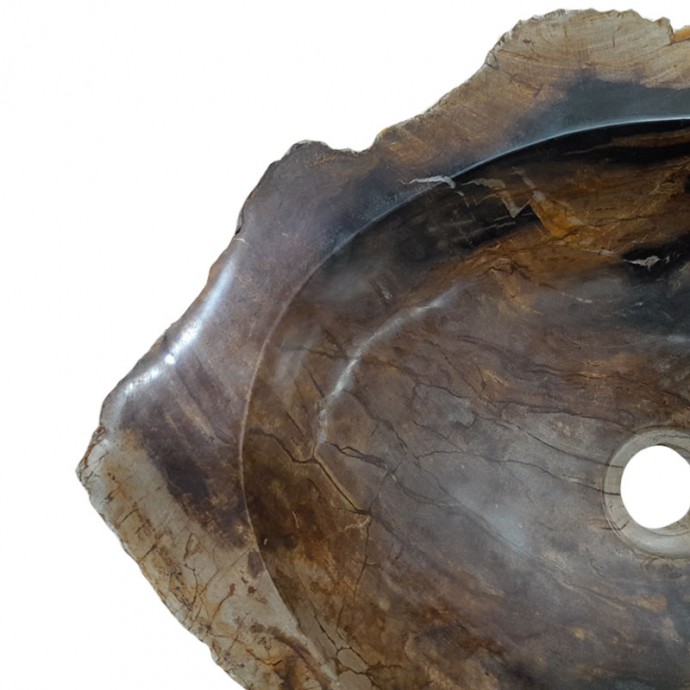 Vasque bois fossilisé n°43 - Taille M