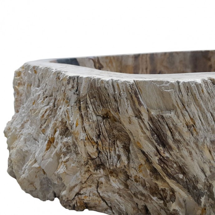 Vasque bois fossilisé n°44 - Taille M