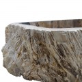 Vasque bois fossilisé n°44 - Taille M