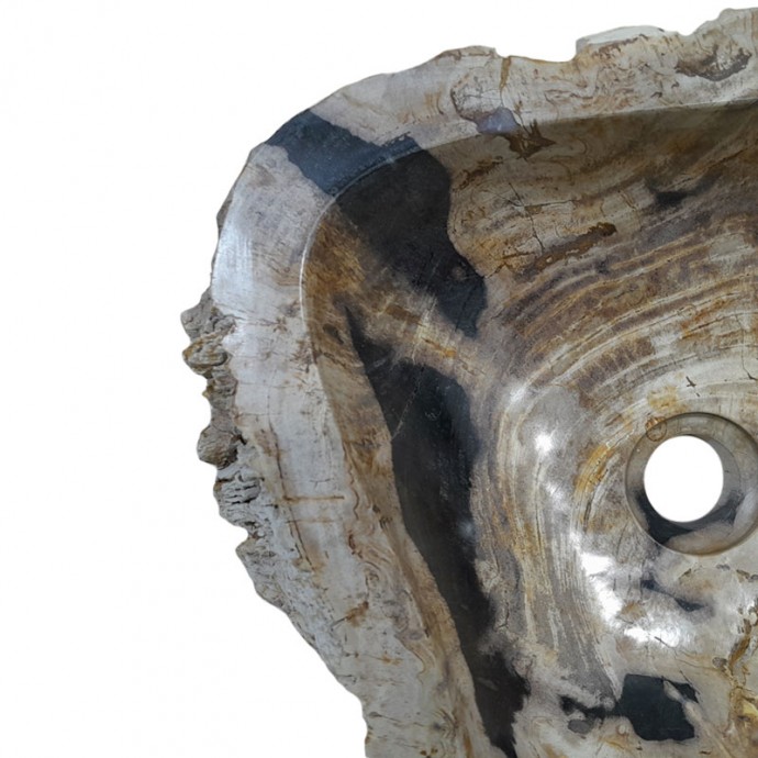 Vasque bois fossilisé n°44 - Taille M
