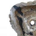 Vasque bois fossilisé n°44 - Taille M