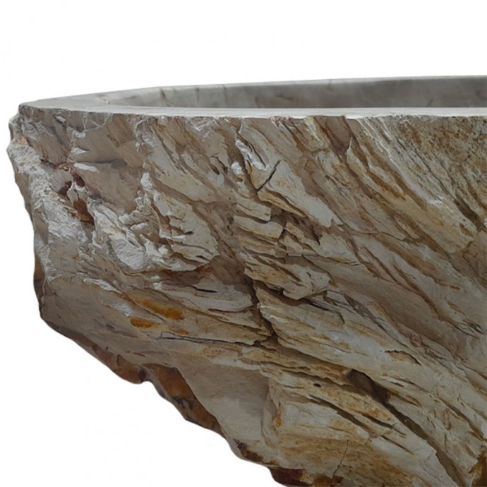Vasque bois fossilisé n°45 - Taille M