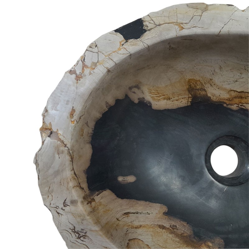 Vasque bois fossilisé n°45 - Taille M