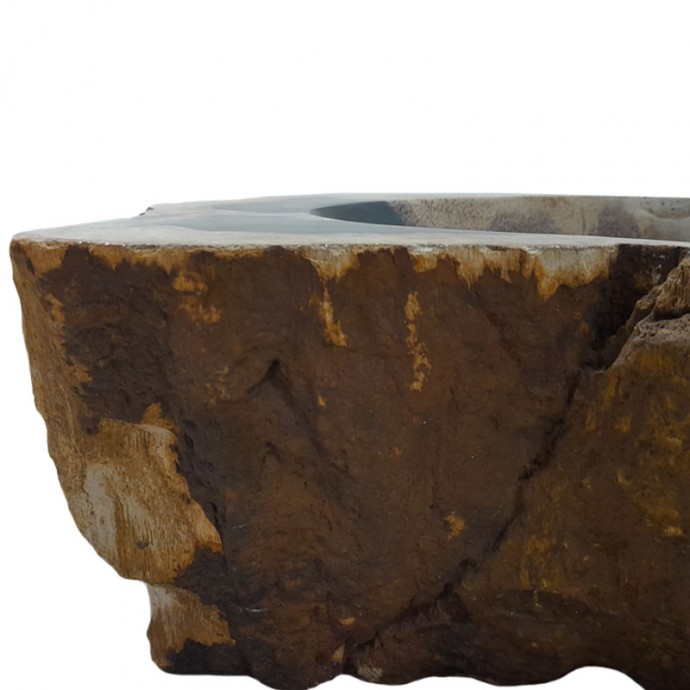 Vasque bois fossilisé n°46 - Taille M