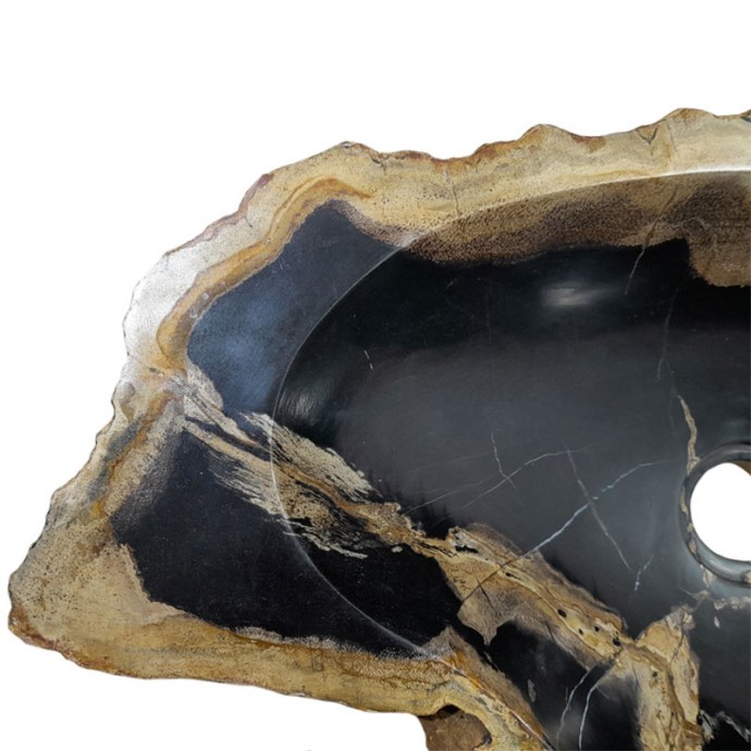 Vasque bois fossilisé n°46 - Taille M