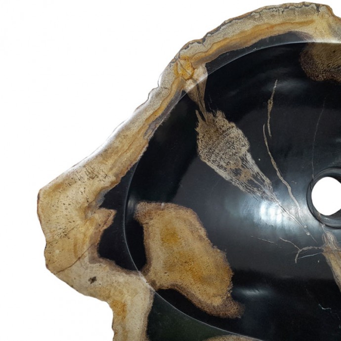 Vasque bois fossilisé n°47 - Taille M