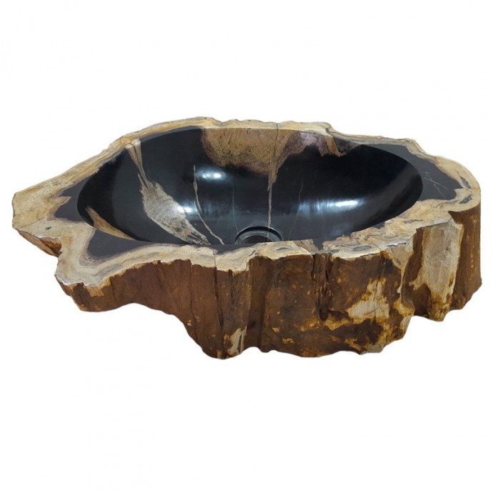 Vasque bois fossilisé n°47 - Taille M
