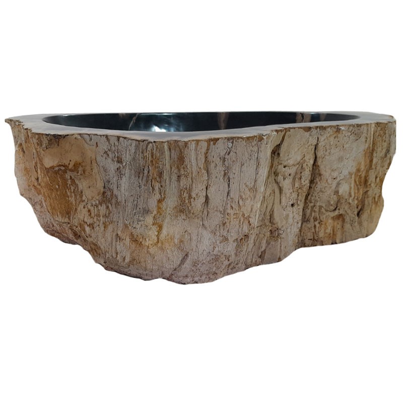 Vasque bois fossilisé n°49 - Taille M
