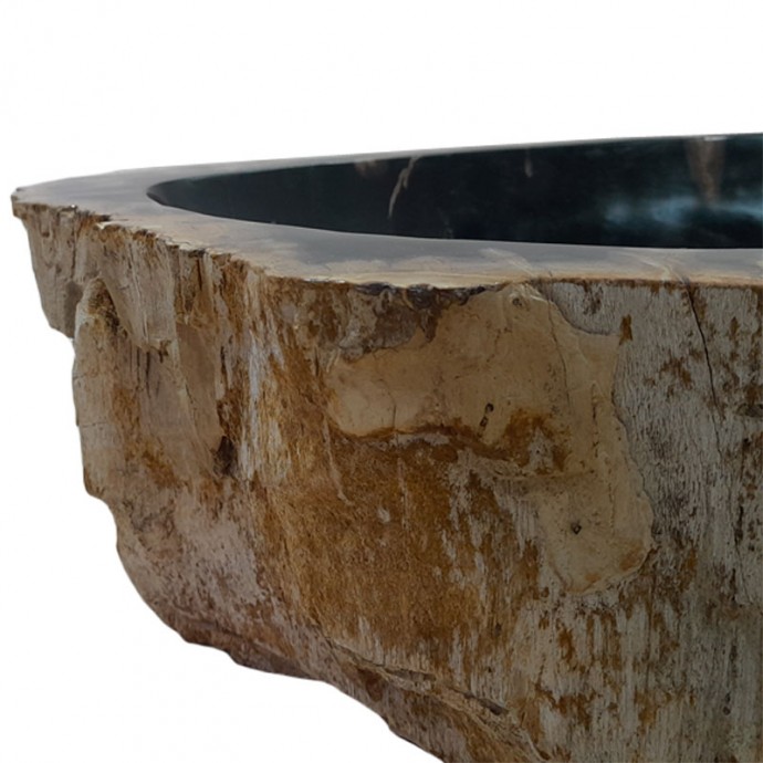 Vasque bois fossilisé n°49 - Taille M