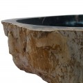 Vasque bois fossilisé n°49 - Taille M