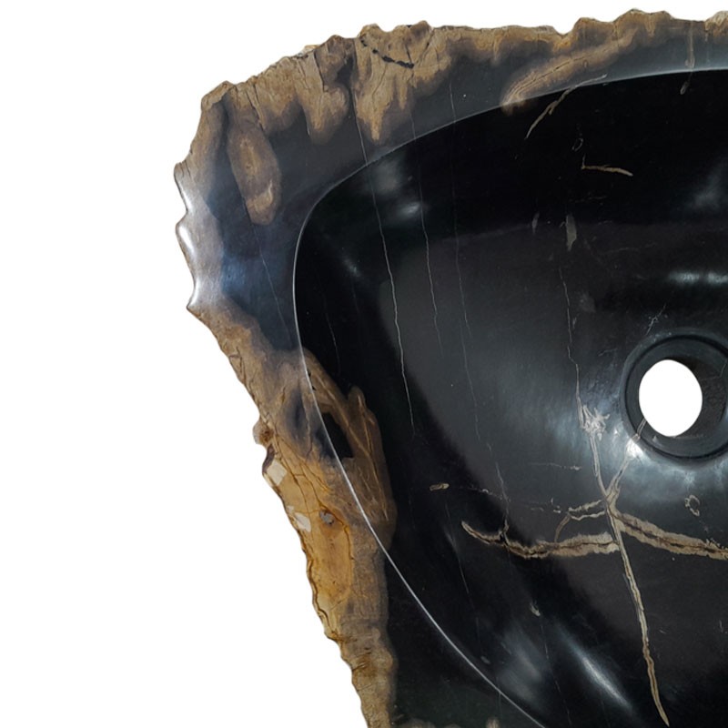 Vasque bois fossilisé n°49 - Taille M