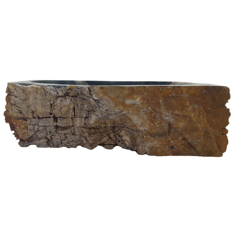 Vasque bois fossilisé n°50 - Taille M