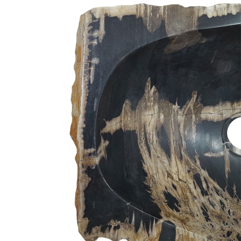Vasque bois fossilisé n°50 - Taille M