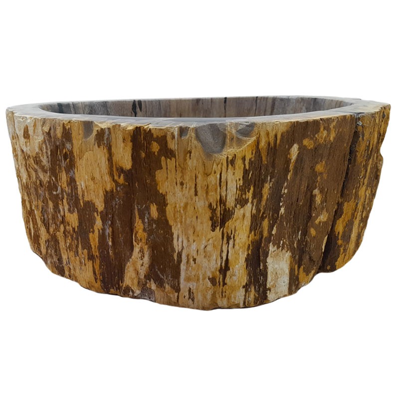 Vasque bois fossilisé n°51 - Taille M