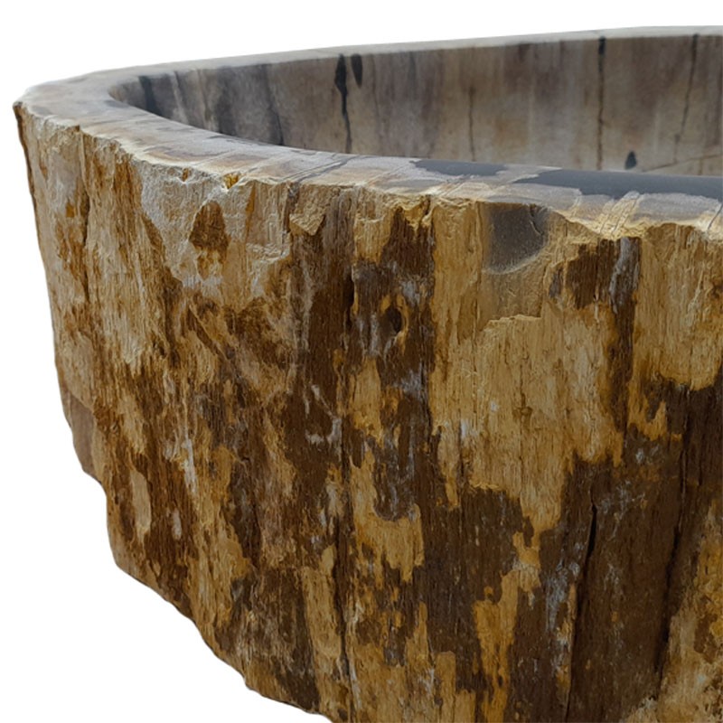 Vasque bois fossilisé n°51 - Taille M