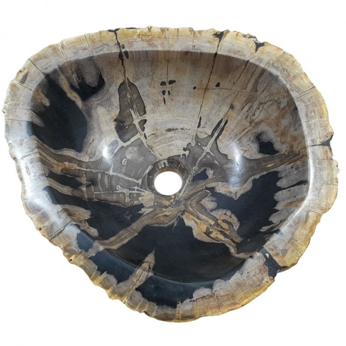 Vasque bois fossilisé n°51 - Taille M