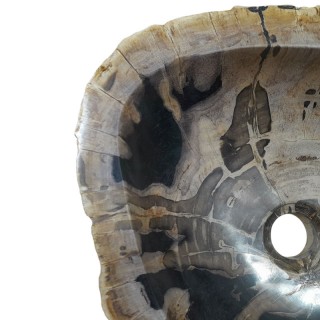Vasque bois fossilisé n°51 - Taille M
