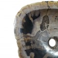 Vasque bois fossilisé n°51 - Taille M