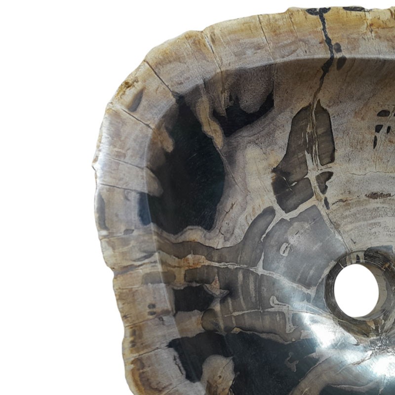 Vasque bois fossilisé n°51 - Taille M