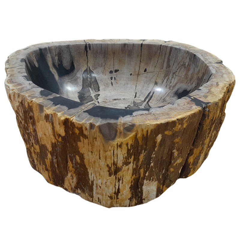 Vasque bois fossilisé n°51 - Taille M