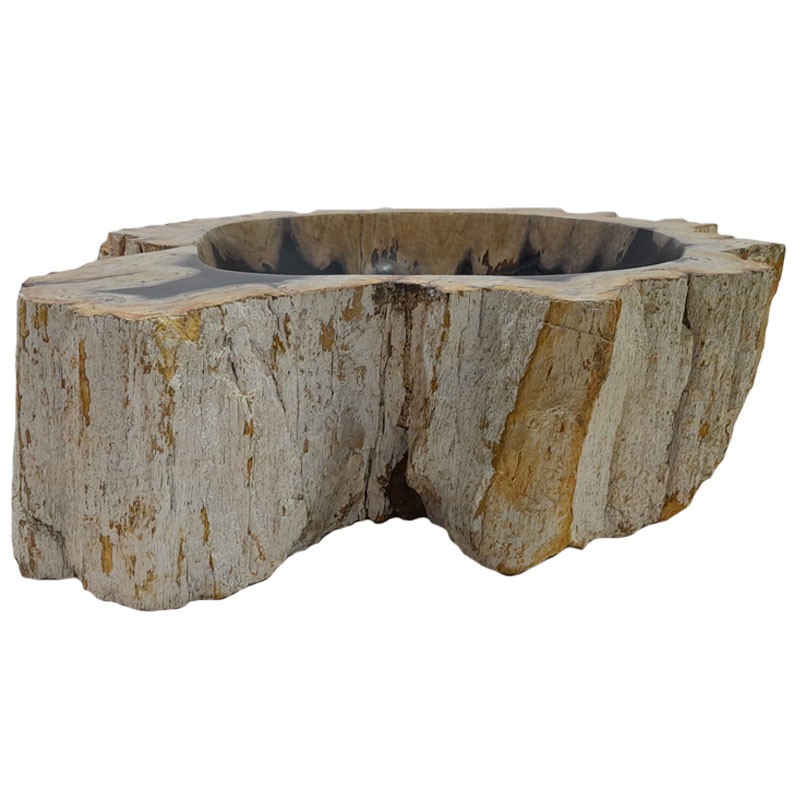 Vasque bois fossilisé n°55 - Taille M