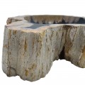 Vasque bois fossilisé n°55 - Taille M