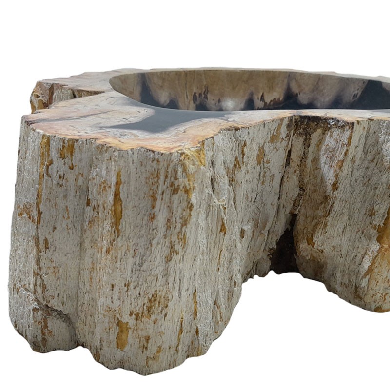 Vasque bois fossilisé n°55 - Taille M